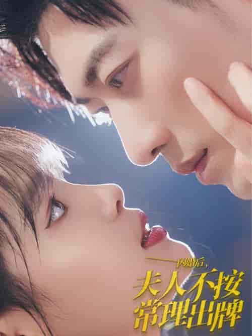 闪婚后夫人不按常理出牌（80集全）于龙＆杨咩咩 - 海之城短剧