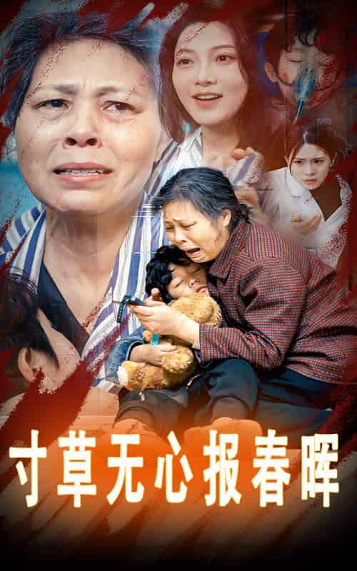 寸草无心报春晖＆孝子慈孙（31集全） - 海之城短剧
