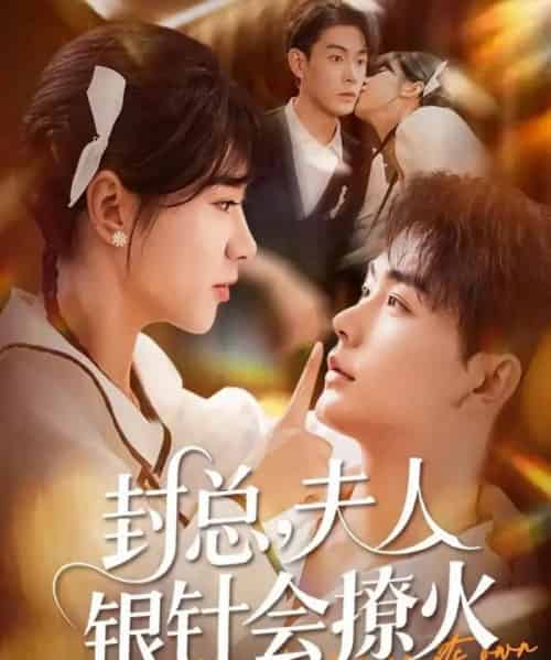 封总，夫人银针会撩火（69集全）张昊＆徐海文-海之城短剧项目