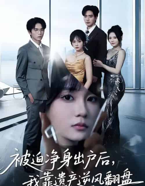 被迫净身出户后，我靠遗产逆风翻盘（40集全）李恩铭＆彭慧玲-海之城短剧项目