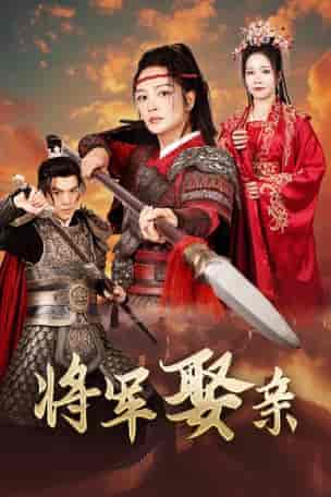 将军娶亲（36集全） - 海之城短剧