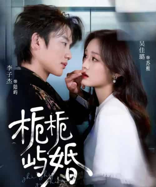 栀栀屿婚（77集全）李子杰＆吴佳璐-海之城短剧项目