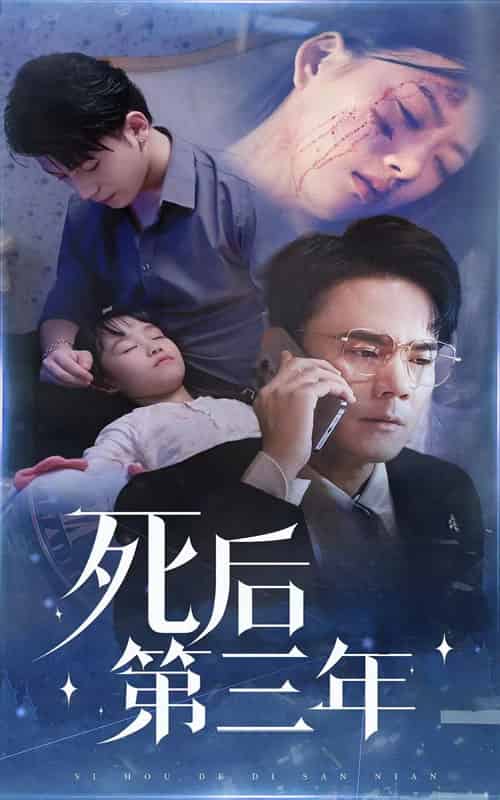 死后第三年（30集） - 海之城短剧