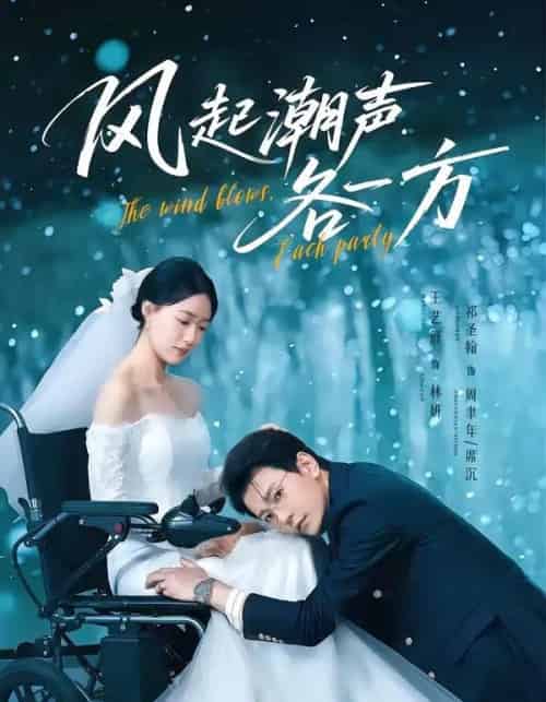 风起潮声各一方（84集全）祁圣翰＆王艺舒-海之城短剧项目
