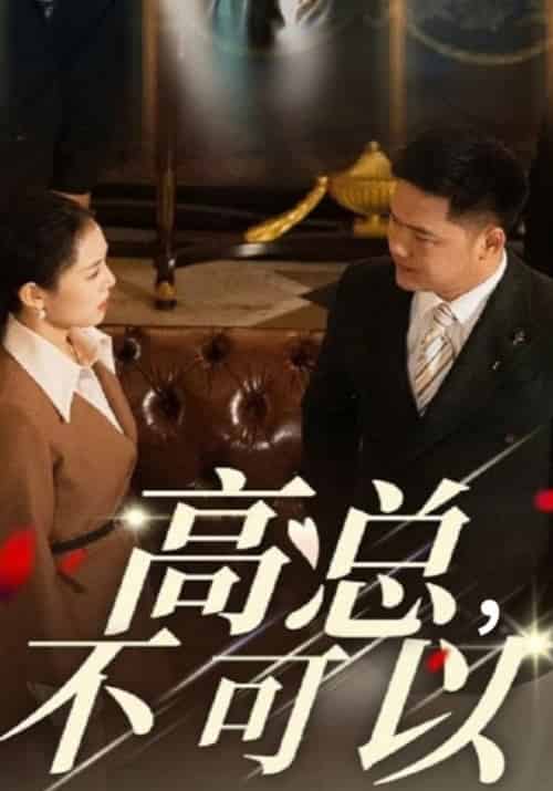 高总，不可以（45集全）高天武＆白知微 - 海之城短剧