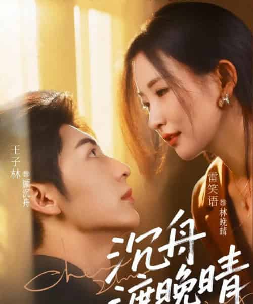 沉舟渡晚晴（80集）王子林＆雷笑语-海之城短剧项目