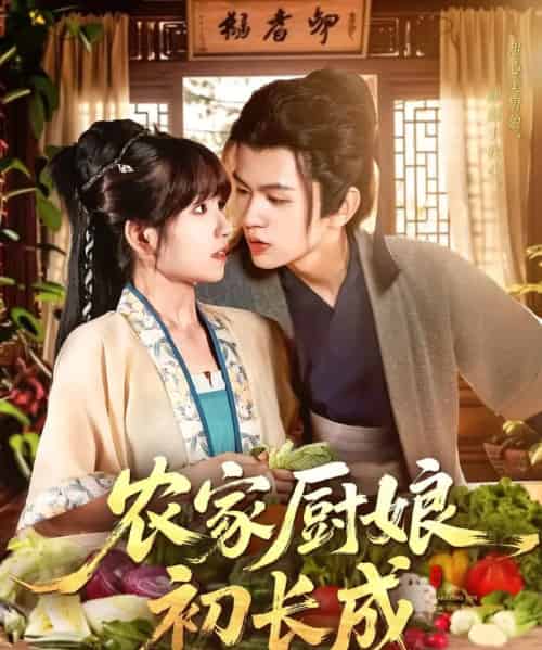 农家厨娘初长成（106集）王千硕（王超超）＆曲笑孝 - 海之城短剧