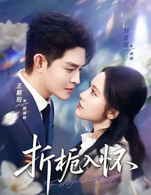 折栀入怀（82集全）王朝阳＆刘昱辰-海之城短剧项目