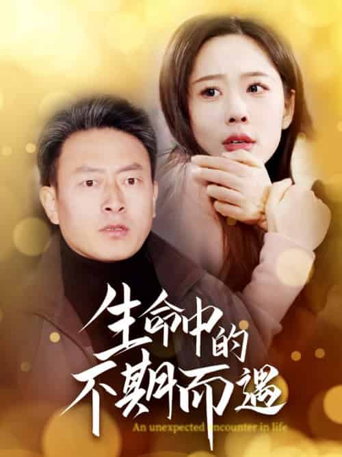 生命中的不期而遇（35集全） - 海之城短剧