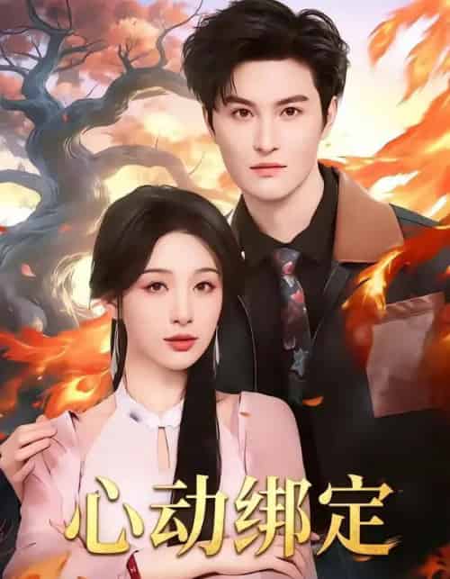 心动绑定（60集全）白旭含＆魏子翔-海之城短剧项目
