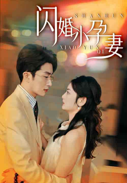 闪婚小孕妻（70集全）叶庭＆李婧也 - 海之城短剧