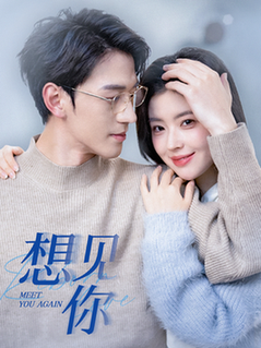 想见你（79集全）陈景赫＆熊安妮 - 海之城短剧