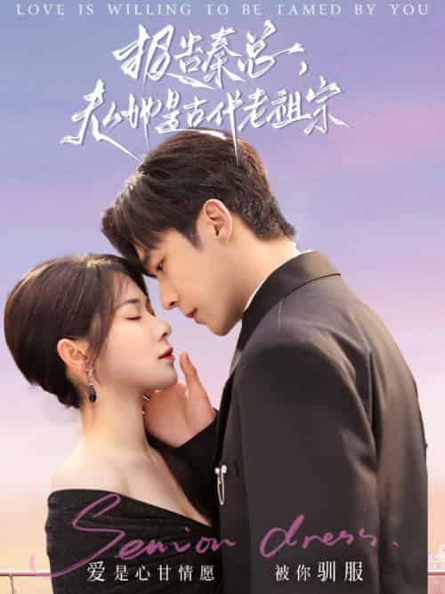 报告秦总，夫人她是古代老祖宗（65集全）李胜杰＆刘夕语-海之城短剧项目