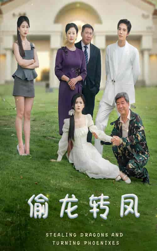 偷龙转凤（80集） - 海之城短剧