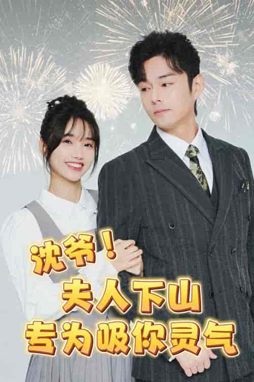 沈爷！夫人下山专为吸你灵气（80集） - 海之城短剧