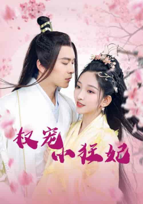 权宠小狂妃（32集全）八王爷＆段璎珞 - 海之城短剧