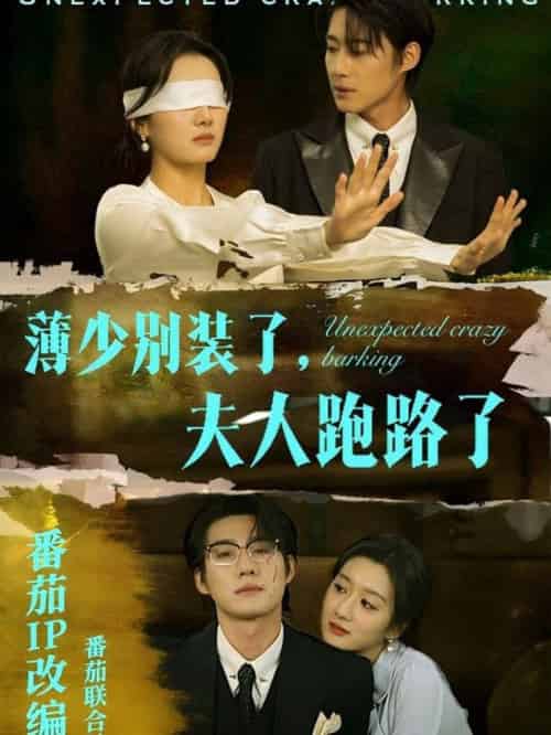 薄少别装了夫人跑路了（60集全）赵振栋＆柳卓青 - 海之城短剧