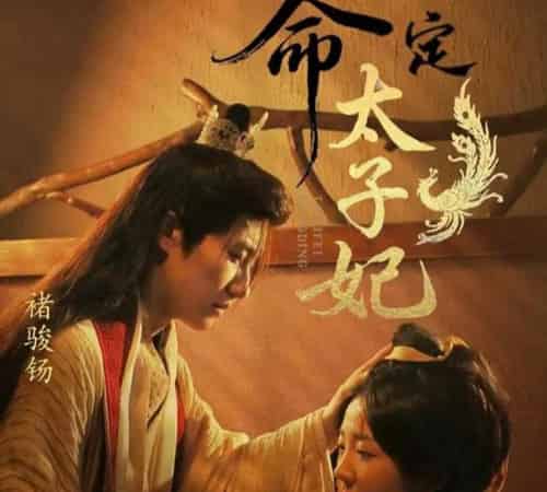 命定太子妃（63集）褚骏钖＆李海蒂-海之城短剧项目