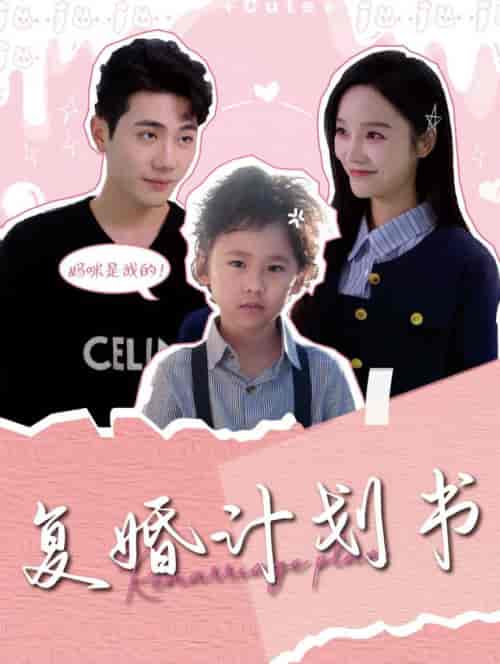 复婚计划书（96集全）李铂一＆李胜楠 - 海之城短剧