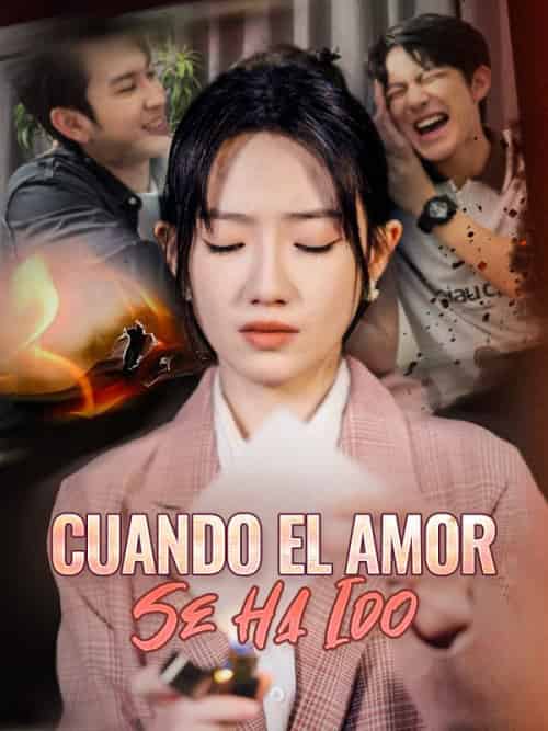 Cuando el Amor Se Ha Ido（50集全）Camilo＆Silva＆＆Noemí＆Quintana - 海之城海外短剧