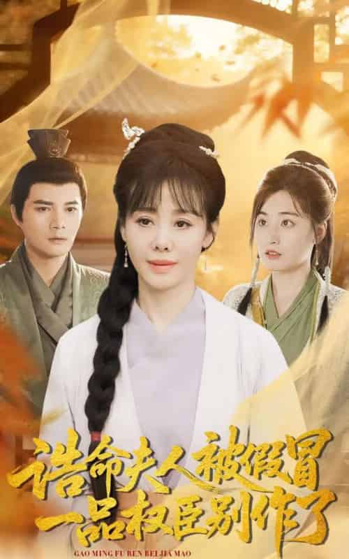 诰命夫人被假冒，一品权臣别作了（98集全）王铮＆黄骞-海之城短剧项目