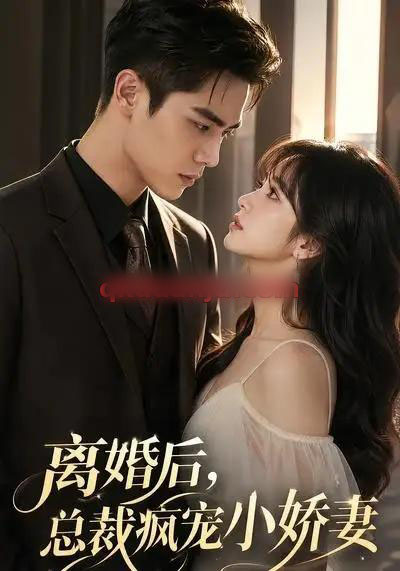 离婚后，总裁疯宠小娇妻（67集全）AI短剧-海之城短剧项目