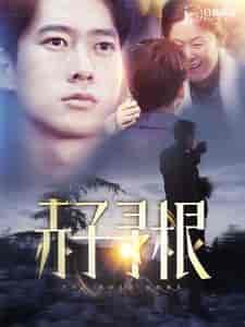 赤子寻根 赤子寻根