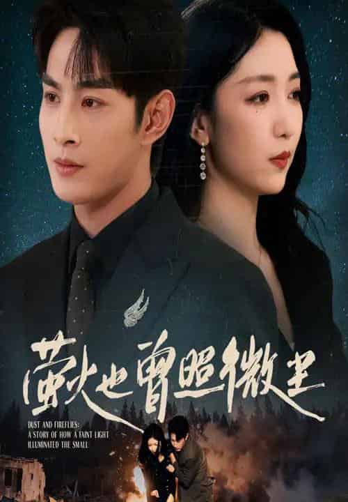 萤火也曾照微尘（63集全）赵琪＆张玉忱-海之城短剧项目