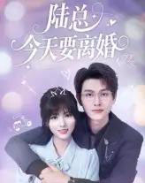 陆总今天要离婚（81集）陈凯洲＆李泫逸-海之城短剧项目