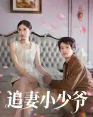 追妻小少爷（31集全）曾旭航-海之城短剧项目