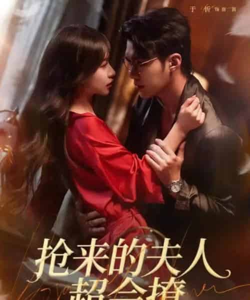 抢来的夫人超会撩（73集全）宋哲伦＆于昕-海之城短剧项目