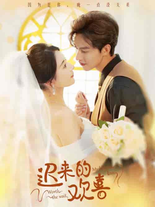 迟来的欢喜（81集全）闵杰＆秦天爱 - 海之城短剧