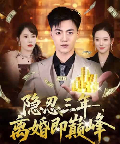 隐忍三年，离婚即巅峰（50集全）王三北＆艾江山-海之城短剧项目