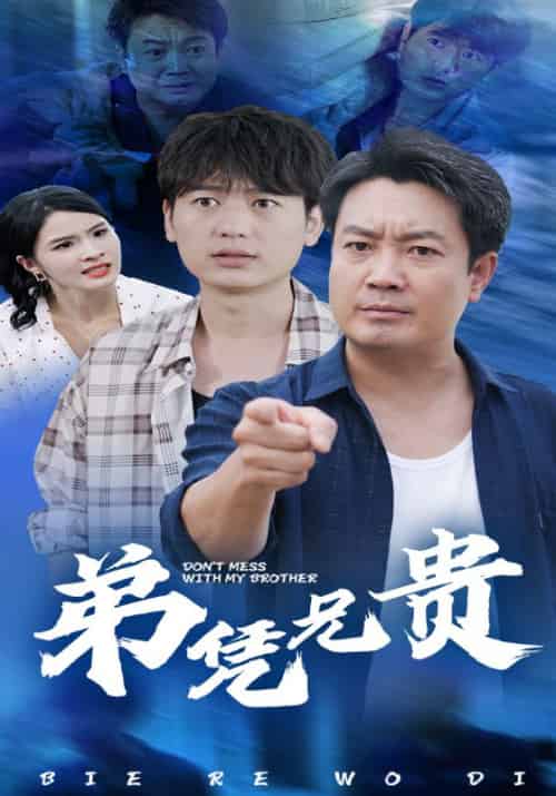 弟凭兄贵（6集全）宋康运＆赵凤娇 - 海之城短剧