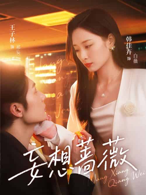 妄想蔷薇（77集）王子林＆韩佳卉 - 海之城短剧