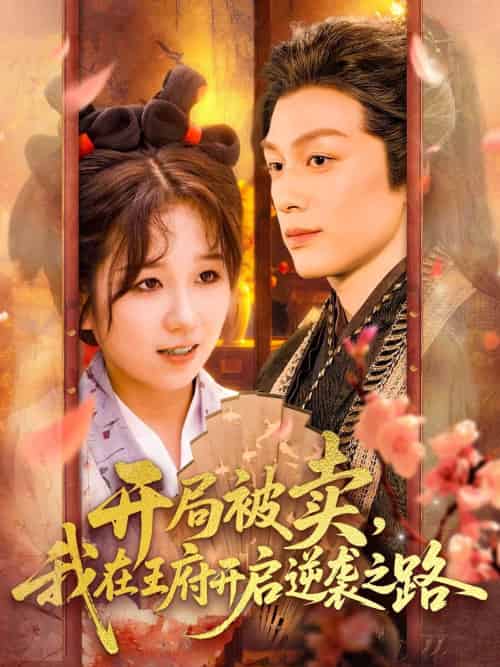开局被卖我在王府开启逆袭之路（113集）黄帅帅＆曲笑孝 - 海之城短剧