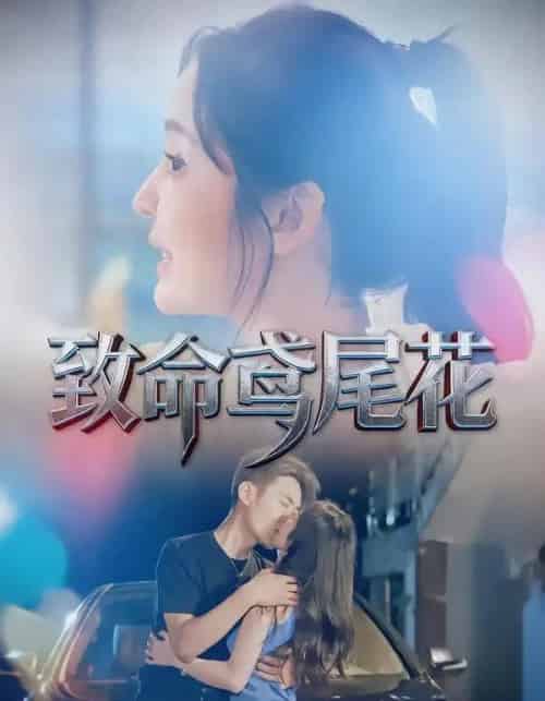 致命鸢尾花（60集全）娜吉玛＆郑天龙-海之城短剧项目
