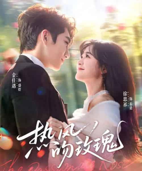 热风吻玫瑰（66集全）金佳遇＆徐思祁-海之城短剧项目