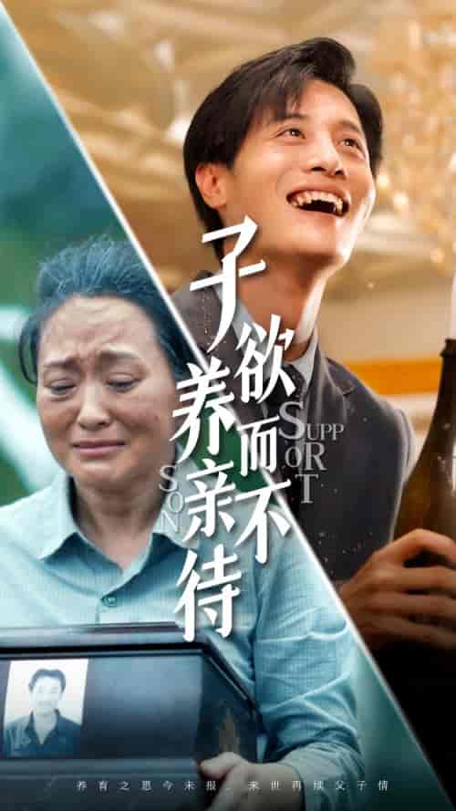 子欲养而亲不待 子欲养而亲不待