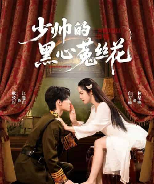 少帅的黑心菟丝花 少帅的黑心菟丝花