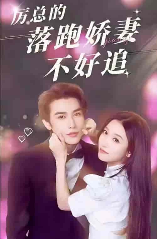 厉总的落跑娇妻不好追 厉总的落跑娇妻不好追