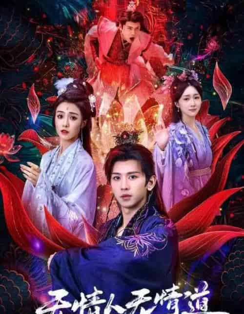 无情人无情道（61集全）段龚洲＆王佳羽 - 海之城短剧