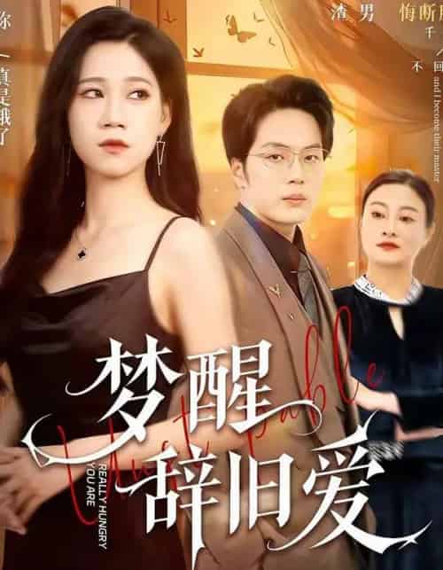 梦醒辞旧爱（55集全）陈七七＆关一夫-海之城短剧项目