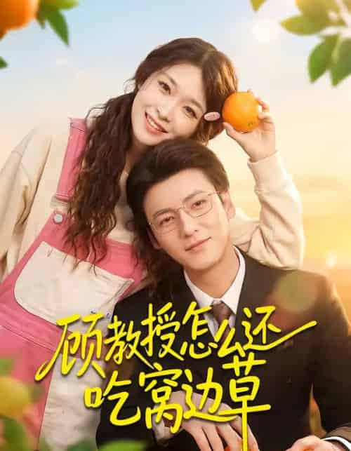 顾教授怎么还吃窝边草（60集全）吴恋融＆肖涵-海之城短剧项目