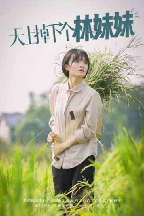 天上掉下个林妹妹（81集全） - 海之城短剧