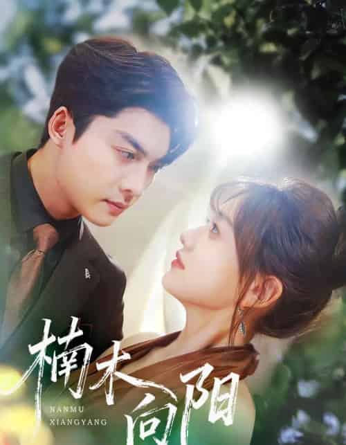 楠木向阳（70集全）方正男＆仇乐瑶-海之城短剧项目