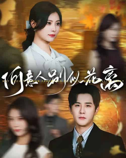 何意人别似花离（61集）伍中元＆杨杨-海之城短剧项目