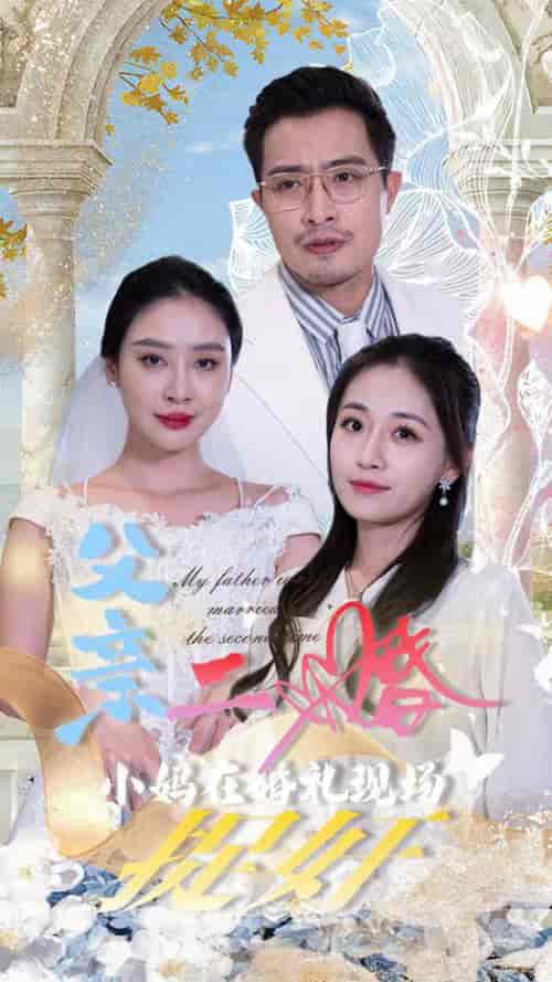 父亲二婚小妈在婚礼现场捉奸（34集全） - 海之城短剧