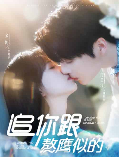 追你跟熬鹰似的（95集全）段美洋＆金妮 - 海之城短剧