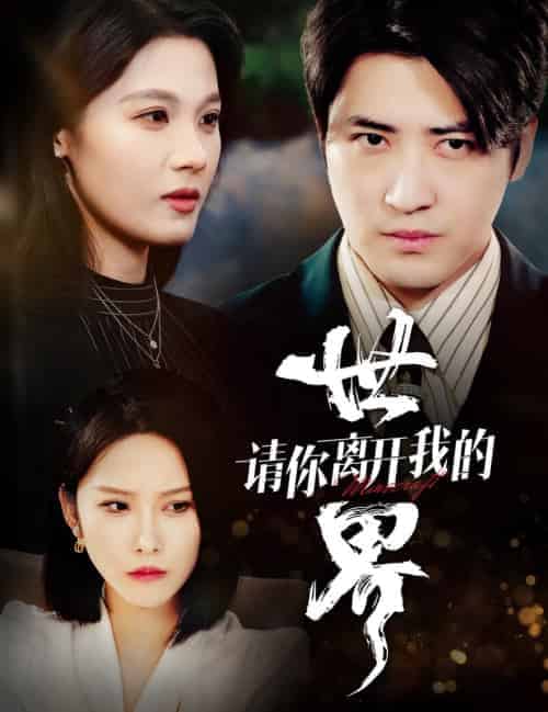 请你离开我的世界（37集全） - 海之城短剧